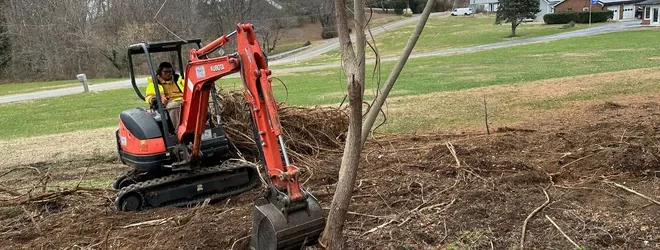 land-and
