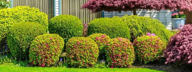 lawn-maintenance-hero-jds-landscaping-and-junk-trash-removal-ref753031-664w