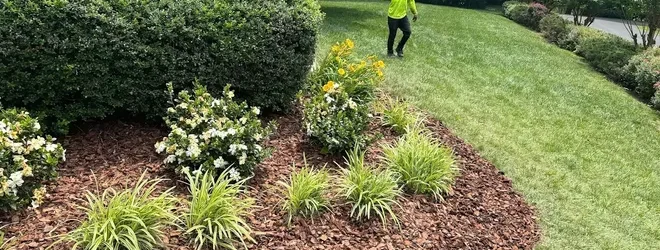 planting-services-hero-jds-landscaping-and-junk-trash-removal-cust-664w