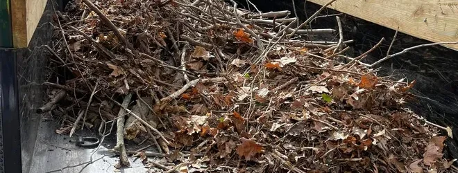 seaonsal-cleanup-service-JDs-Landscaping-Junk-Trash-Removal-664w